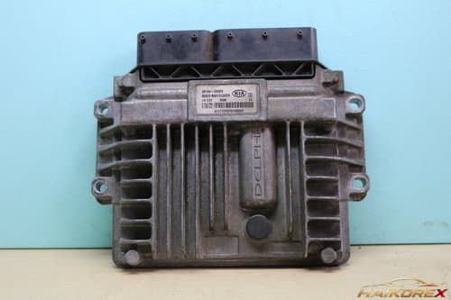 ЭБУ (блок управления двигателем) Hyundai Grand Carnival 39104-4X920