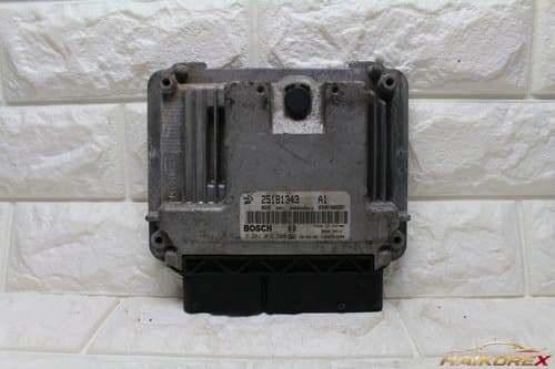 Блок управления двигателя (ECU) Winstorm 25181343 A1