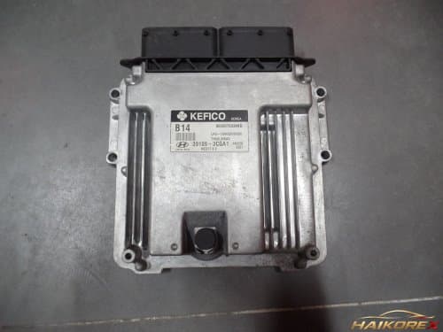 Блок управления двигателем (ECU) Hyundai Grandeur HG 391093CGA1