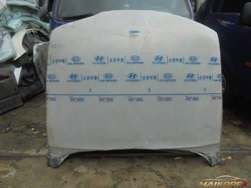 Капот Sonata2