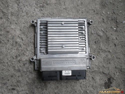 ЭБУ двигателя Roche 3910125730
