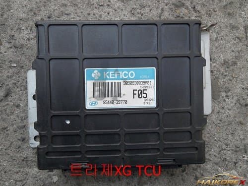 Блок управления коробкой передач (TCU) Hyundai Trajet XG 9544039770
