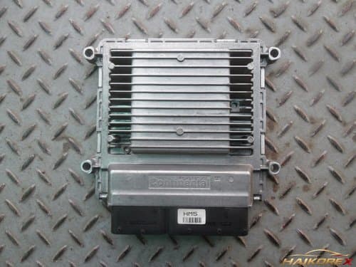 Блок управления двигателем (ECU) K5 3910925000