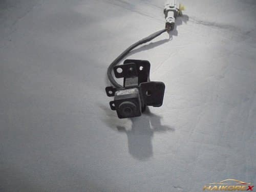 Радиаторная решетка с передней камерой Hyundai Equus VI (VCB-HY301) 957703N200 4-pin