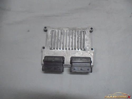 Блок управления двигателем (ECU) Hyundai Grandeur Premium 391053C900