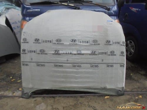 Капот Elantra (6640029000)