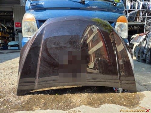 Капот для Chevrolet Tracker P95390356