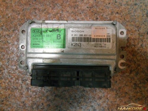 ЭБУ (блок управления двигателем) Spectra K2N318881