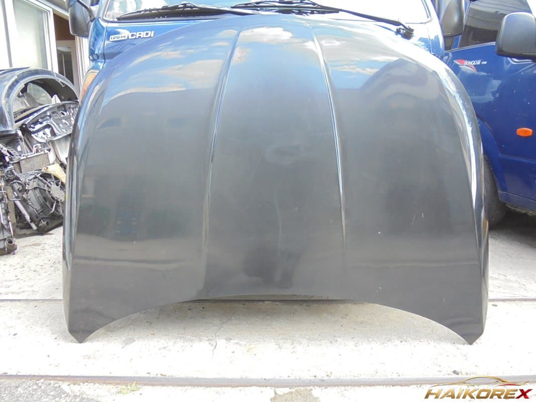 Капот (Bonnet/Hood) SM5 Nova (L43) 651005033R