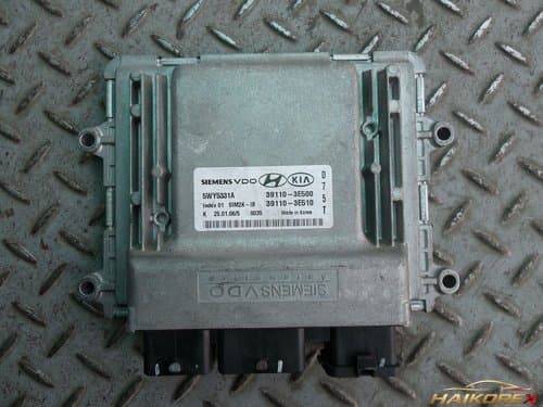 ЭБУ (ECU) Hyundai Grandeur TG 391103E510