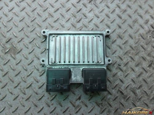 Блок управления двигателем (ЭБУ) Hyundai Grandeur TG 391103E180