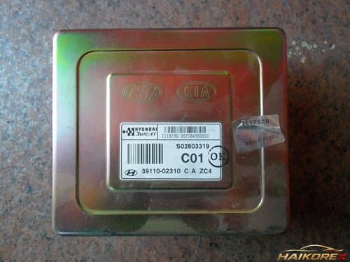 Блок управления двигателя (ЭБУ) Atoz 3911002310