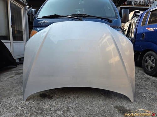 Капот Hyundai Santa Fe CM 664002B030 05-09 (старый кузов)