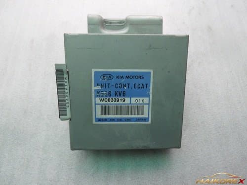 Блок управления EACT Carnival 2 (K566 KV6)