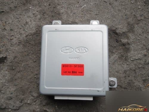 Нюоопирус блок-модуль 956103F300