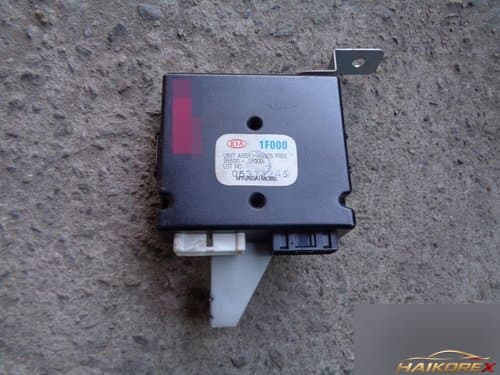 Блок управления хендсфри (hands-free) 955001F000