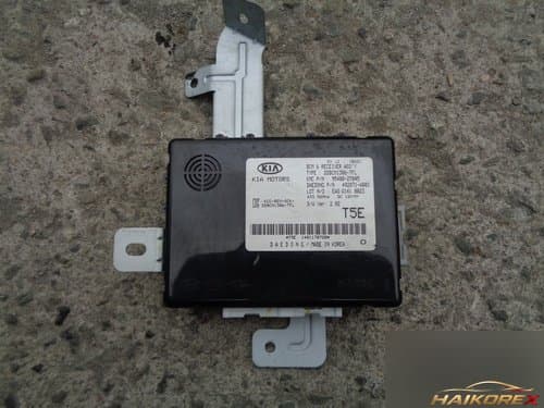 Блок управления BCM K5 954002T045