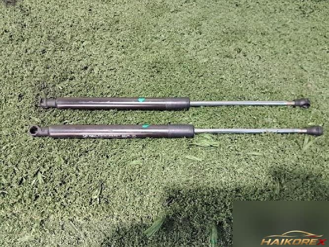 Daewoo Winstorm 2007 — упор капота
