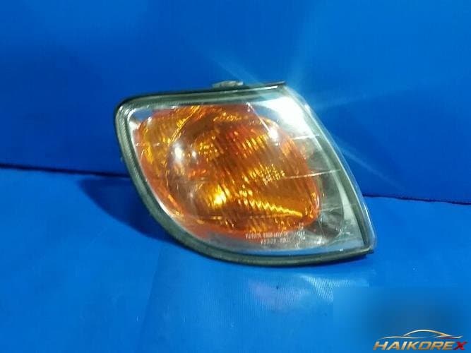 Hyundai Trajet 2003 — указатель поворота правый