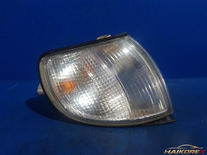 Hyundai Dynasty 2000 — лампа сигнала (правая)