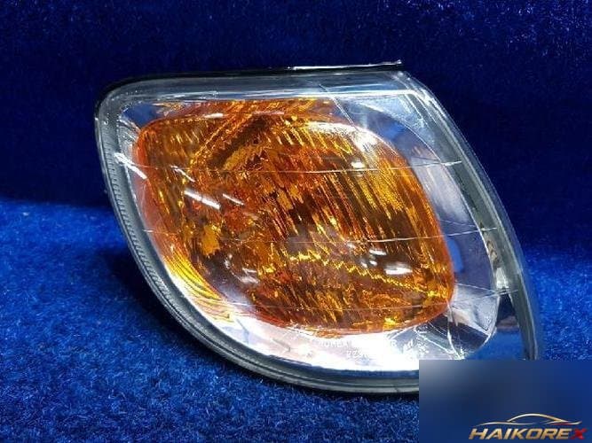 Hyundai Trajet 2005 — сигнальная лампа правая 4