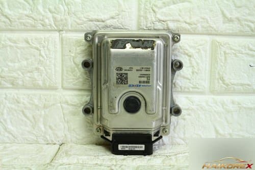 Кнопка парковки K7 Premier SBW 429514G250