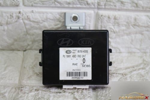 Блок RPAS для Bongo3 EV 95700-4E002