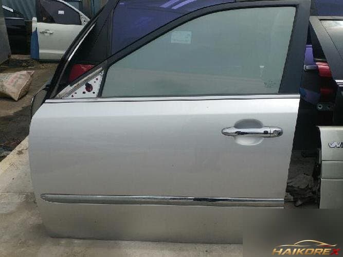 Kia Roche 2009 — передняя дверь левая
