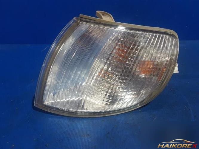Hyundai Dynasty 2000 — сигнальная лампа левая