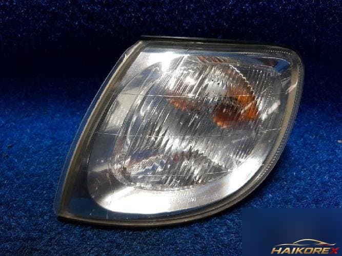 Hyundai Trajet 2002 — повторитель поворота левый