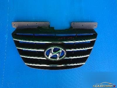 Hyundai Sonata 2009 — решетка радиатора