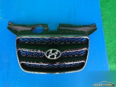 Hyundai Santa Fe 2008 — решетка радиатора