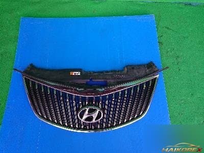 Hyundai Grandeur 2011 — решетка радиатора