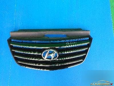 Hyundai Grandeur 2006 — решетка радиатора