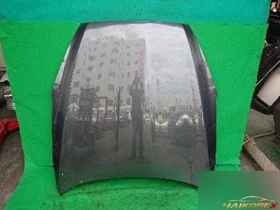Kia K9 2014 — капот