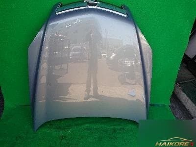 Chevrolet Winstorm 2010 — капот