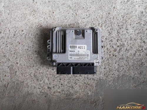 K3 ECU 391202A521