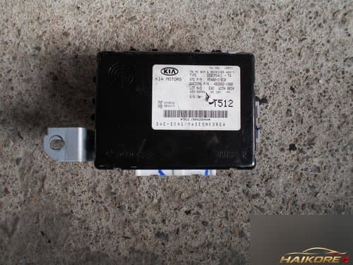 Блок управления BCM 954001YBC0