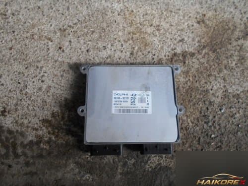 Genesis BH ECU 391063C101