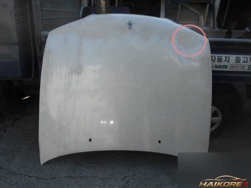 Капот SM5 7100351011P1 VQ