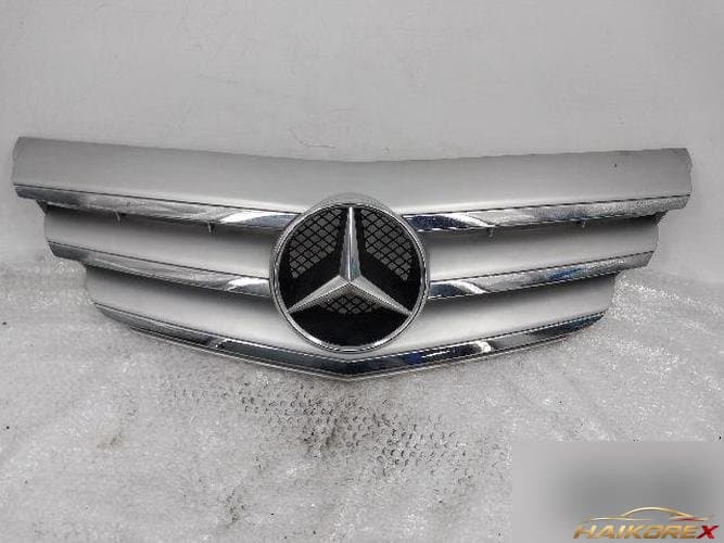 Mercedes-Benz B-Class 2009 — решётка радиатора