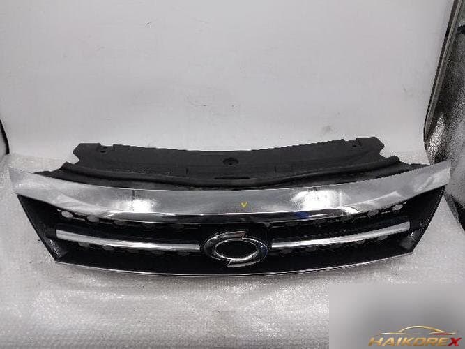 Renault SM5 2010 — радиаторная решётка 5