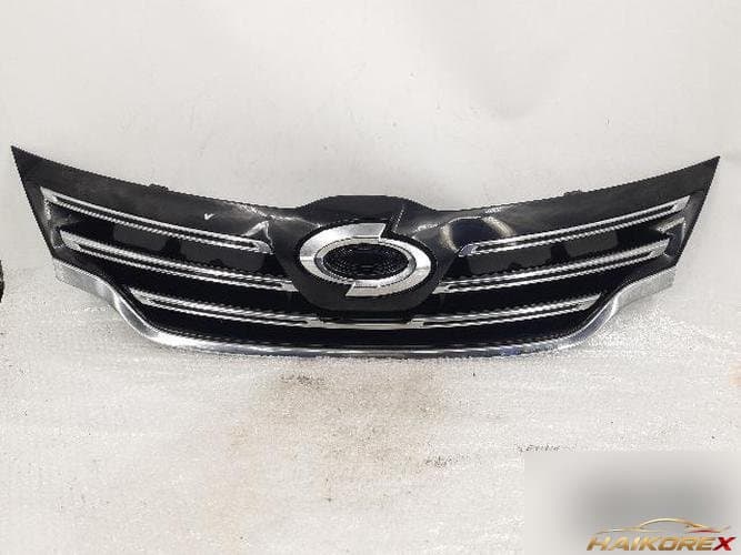 Renault SM5 2011 — радиаторная решётка