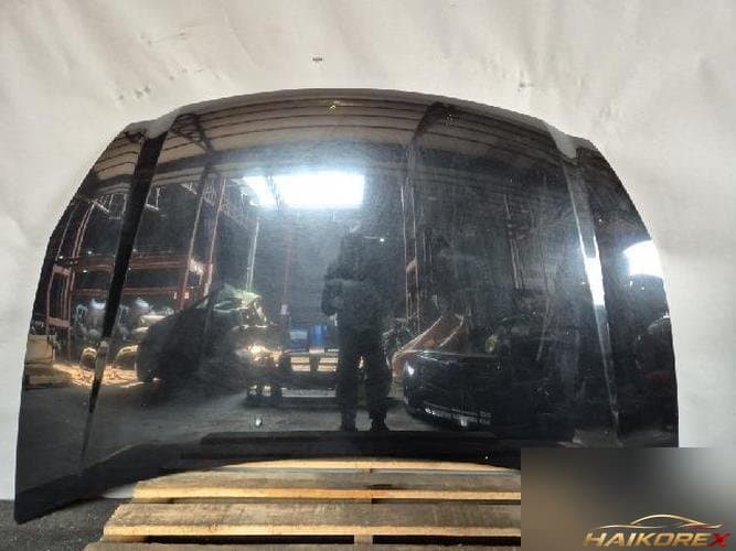 Kia Carnival 2014 — капот