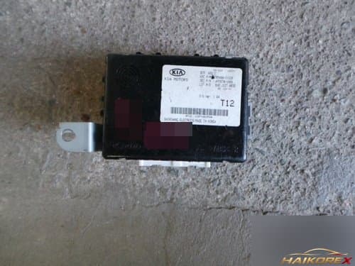 Блок управления BCM 954001Y120