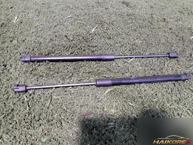 Daewoo Winstorm 2009 — упор капота