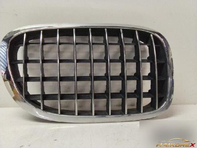 BMW 7 Series 2010 — решетка радиатора