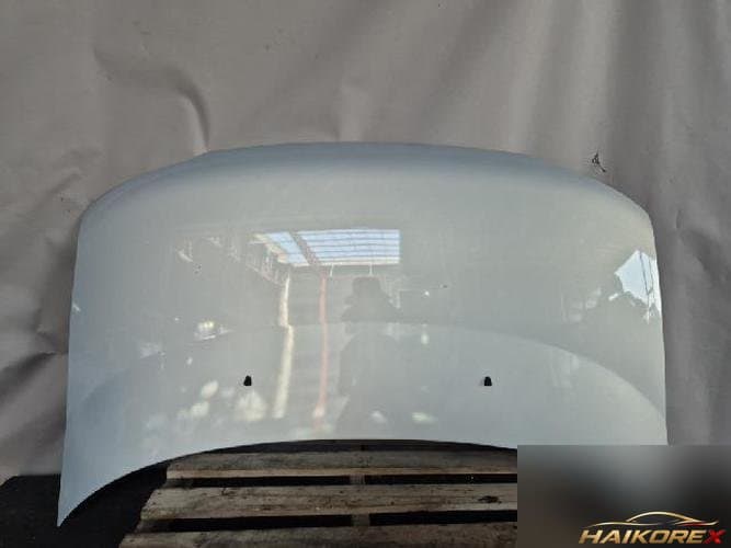 Hyundai Lavita 2002 — капот