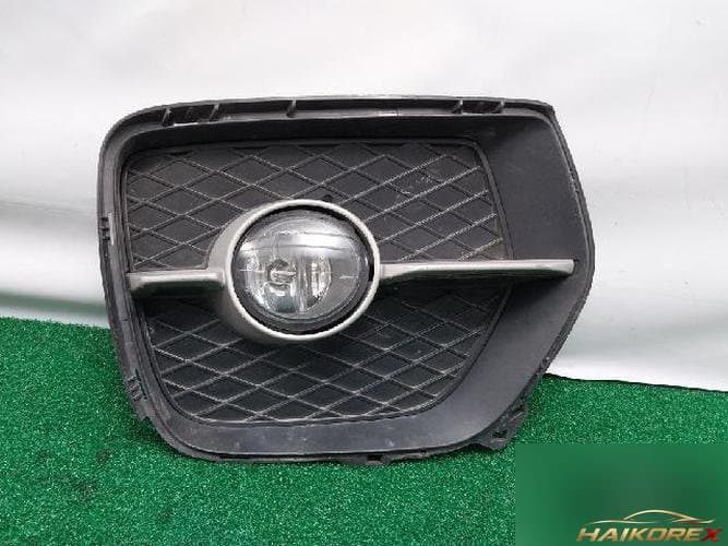 BMW X-Series 2009 — противотуманная фара правая (7187630)