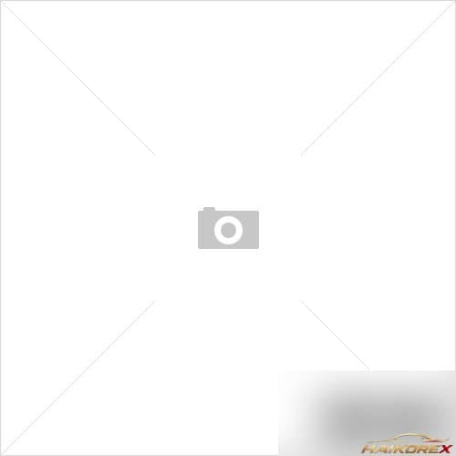Дверь задняя правая Dynasty